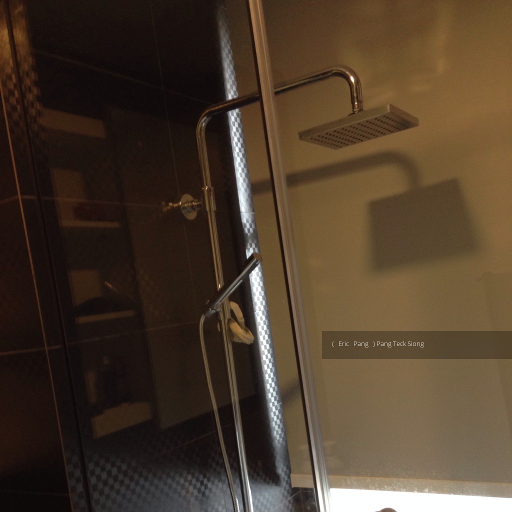 Haig 162 (D15), Apartment #112523372